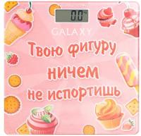 Весы электронные GALAXY LINE GL4831