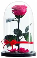 Роза в колбе 27см Premium бутон 7см ярко-розовая