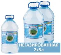 Ледникова вода Графский горный источник МВЖ природная питьевая 2шт по 5л ПЭТ