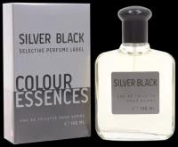 Today Parfum туалетная вода Colour Essences Silver Black