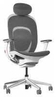 Офисное кресло Yuemi YMI Ergonomic Chair White (RTGXY01YM)