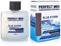 Парфюмерия XXI века Мужской Perfect Men Blue Storm Бальзам после бритья 100мл