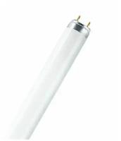 Osram Линейная люминесцентная лампа L 36W/77 10X1 CRP RU 4058075402805