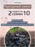 Цветы Гейхера Пурпурный замок 2 пакета по 10шт семян