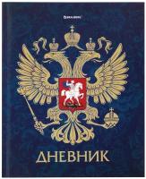 Дневник 5-11 класс 48 л твердый, BRAUBERG, фольга, с подсказом, 