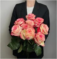 Букет из 9 розовых с белым роз Палома 50 см