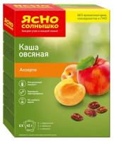 Ясно cолнышко Каша овсяная Ассорти №3: с абрикосом, яблоком, изюмом, порционная, 2 шт по 270гр