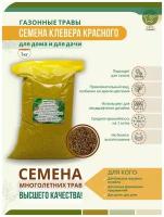 Семена Клевера Красного 1 кг для посадки