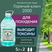 Вода Горячий Ключ 2000. Объем 5л*2. Вода минеральная питьевая негазированная природная целебная лечебная, выводит токсины, для детей
