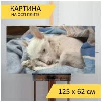 Картина на ОСП 