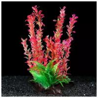 Растение искусственное аквариумное на платформе в виде коряги, 30 см, розово-зелёное (1 шт.)