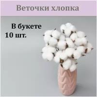 Веточки хлопка белого 10 шт, композиция из сухоцветов и стабилизированных растений, цветы для декора