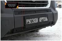 Защитная сетка решетки переднего бампера Fiat Ducato 2014- (290 кузов)