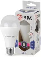 ЭРА LED A65-19W-860-E27 (диод, груша, 19Вт, хол, E27)