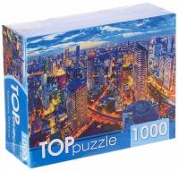 Пазлы Рыжий кот 1000 деталей, TOP puzzle 