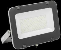 IEK Прожектор СДО 07-100 LED 100Вт IP65 6500К сер. ИЭК LPDO701-100-K03