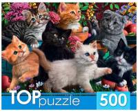 Пазлы «Игривые котята», 500 элементов