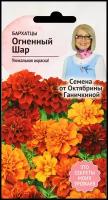 Бархатцы Огненный шар 10 шт / семена однолетних цветов для сада / однолетние цветы для балкона в грунт /