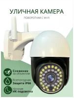 Уличная WiFi камера видеонаблюдения. Поворотная беспроводная PTZ мини видеокамера для наружнего наблюдения с датчиком движения