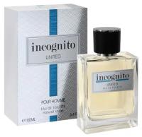 Art Parfum Мужской Incognito United Туалетная вода (edt) 100мл