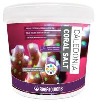 Соль морская ReeFlowers Caledonia Coral Salt, 22 кг на 630 литров