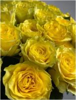 Роза Илиос желтая 70 см 21 шт