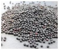 Семена микрозелени Брокколи рааб / рапини, 500 гр
