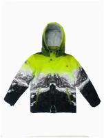 Куртка Velikonemalo /размер 146, зеленый