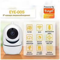 Домашняя внутренняя IP WiFi камера видеонаблюдения SAFEBURG EYE-005 ночного видения FullHD 1080P с датчиком движения, поворотная, купольная