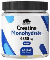 Креатин моногидрат Prime Kraft Creatine Monohydrate (240 капсул)