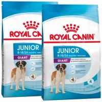 ROYAL CANIN GIANT JUNIOR для щенков крупных пород (15 + 15 кг)