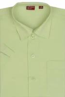 Рубашка дошкольная для мальчика Imperator st Lime-k, размер 98-104