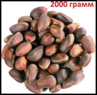 Кедровый орех / Орехи кедровые неочищенные, 2000 грамм