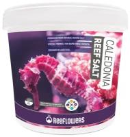 Соль морская ReeFlowers Caledonia Reef Salt, 22 кг на 630 литров