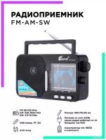 Радиоприемник AM-FM-SW, питание от сети 220В c MP3 плеером USB FP-1821Uчерный Fepe