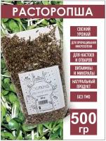 Семена расторопши, 500 гр. Для проращивания, микрозелень, для чистки печени, детокс, пп крупа, здоровое питание, зож, диетические продукты