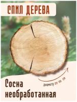 Спил, срез сосны (Д 25-35 см) толщина 30 мм. Деревянные заготовки