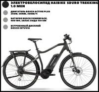 Электровелосипед Haibike (2019) Sduro Trekking 1.0 men (56 см)