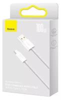 Data кабель USB Baseus 1м Type-C 100 Вт CALD000602, белый