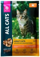 All Cats Пауч для кошек с тефтельками из индейки в соусе 0.085 кг