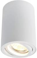 Потолочный светильник Arte Lamp A1560PL-1WH