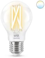 Лампа WiZ Wi-Fi BLE 60WST64E27927-65CL1PF/6