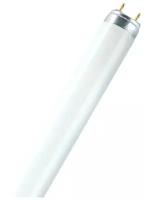 Люминесцентная лампа T8 Osram L 30 W 840 LUMILUX G13, 26x895mm