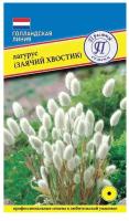 Семена/Престиж Семена/ Семена цветов Лагурус (заячий хвостик), сухоцвет, 10 шт