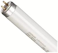 Лампа люминесцентная Osram 58Вт G13 4000k холодный белый Трубка Т8, 25 штук в упаковке