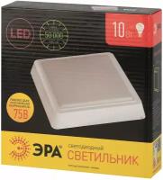 Настенно-потолочный светодиодный светильник ЭРА SPB-4-10-4K Б0036420