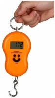 0 Портативные электронные весы PORTABLE ELECTRONIC SCALE