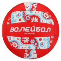 Мяч волейбольный ONLYTOP размер 5, 266 гр, 18 панелей, PVC, 2 подслоя, машин. сшивка 892056