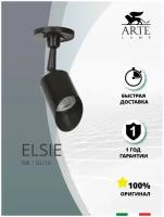 Потолочный светильник Arte Lamp ELSIE A1022AL-1BK