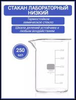 Стакан мерный лабораторный 250 мл (тип Н, низкий с делениями и носиком, термостойкий), ТС Н-1-250